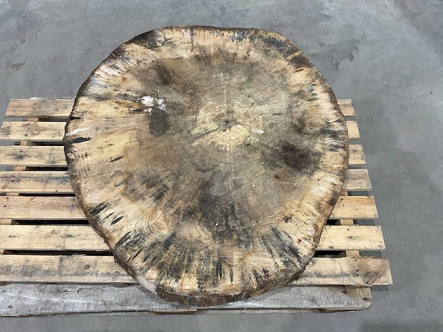 Boomstam tafelblad - afbeelding 4 van  6