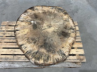 Boomstam tafelblad - afbeelding 4 van  6