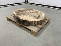 Boomstam tafelblad - afbeelding 1 van  6