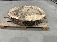 Boomstam tafelblad - afbeelding 3 van  6