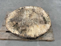 Boomstam tafelblad - afbeelding 4 van  6