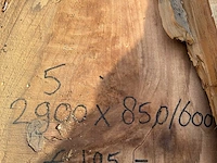 Boomstammen (4x) - afbeelding 5 van  6