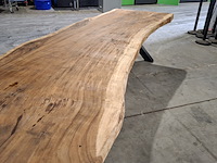 Boomstamtafel | suar - afbeelding 4 van  12