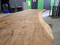 Boomstamtafel | suar - afbeelding 12 van  12