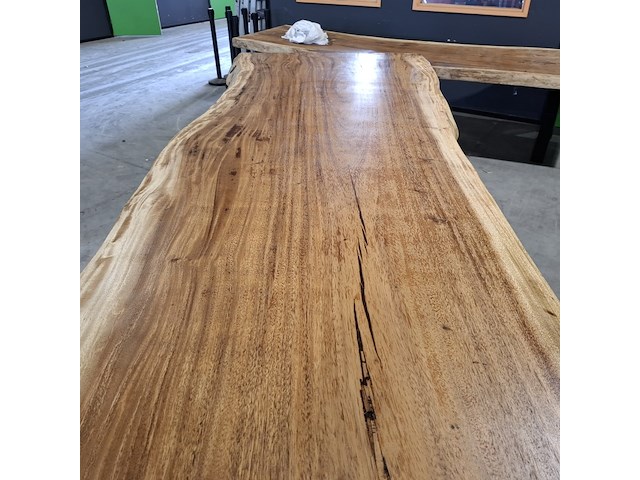 Boomstamtafel | suar - afbeelding 10 van  11