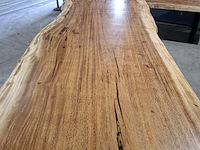 Boomstamtafel | suar - afbeelding 10 van  11