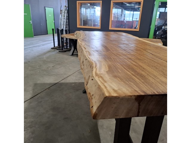Boomstamtafel | suar - afbeelding 11 van  11