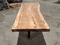 Boomstamtafel | suar - afbeelding 4 van  9
