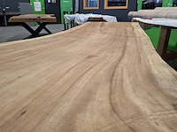 Boomstamtafel | suar - afbeelding 7 van  9