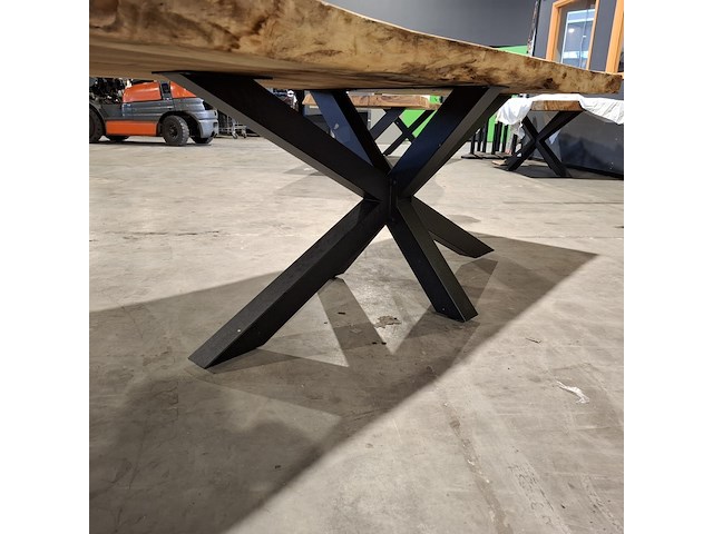 Boomstamtafel | suar - afbeelding 8 van  9