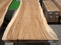 Boomstamtafel | suar - afbeelding 4 van  5