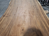 Boomstamtafel | suar - afbeelding 8 van  10