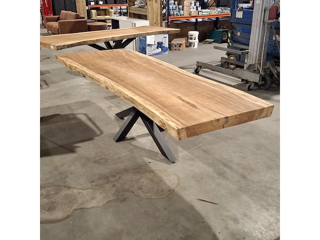 Boomstamtafel | suar - afbeelding 1 van  11