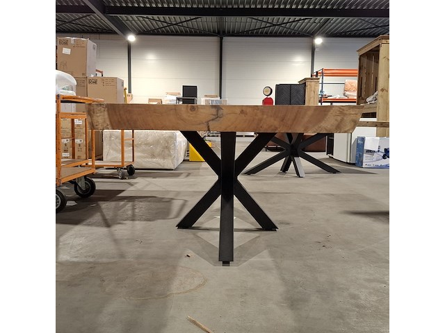 Boomstamtafel | suar - afbeelding 5 van  11