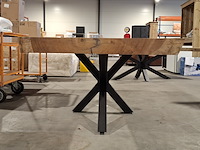 Boomstamtafel | suar - afbeelding 5 van  11