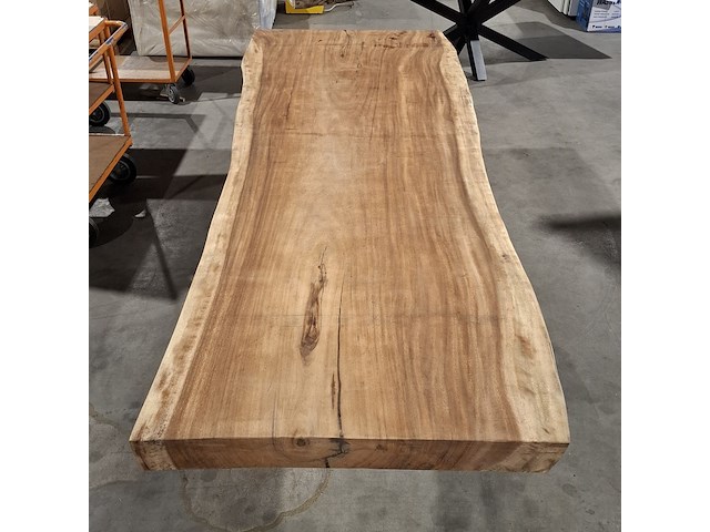 Boomstamtafel | suar - afbeelding 6 van  11