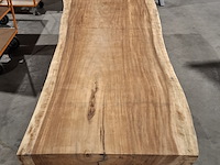 Boomstamtafel | suar - afbeelding 6 van  11