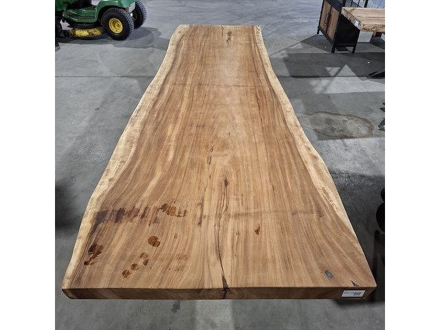 Boomstamtafel | suar - afbeelding 9 van  11