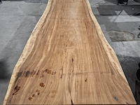 Boomstamtafel | suar - afbeelding 9 van  11