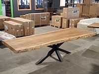 Boomstamtafel | suar - afbeelding 11 van  11