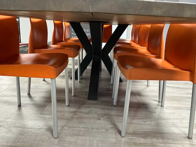 Boomstamtafel - afbeelding 3 van  3