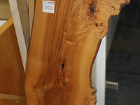 Boomtafelblad circa 50 x 105 cm met dikte 32 mm. - afbeelding 2 van  3