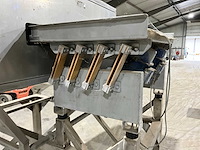 Boon sorteerder - afbeelding 10 van  13