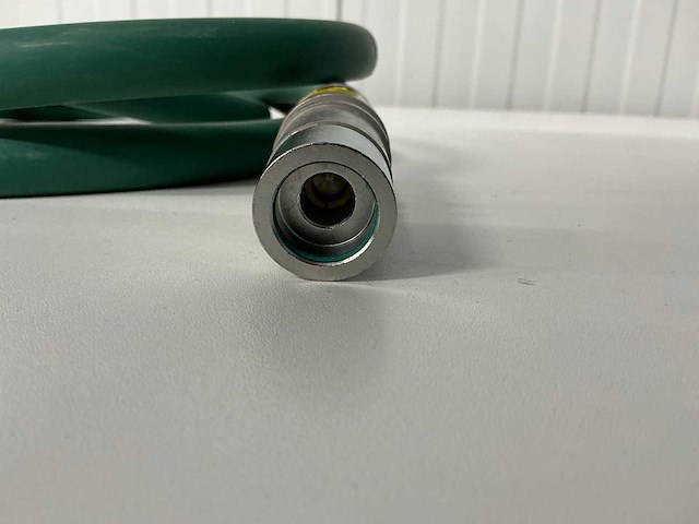 Boorslang - afbeelding 3 van  3