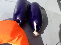 Boot met motor, trailer en diverse benodigdheden, blauw - afbeelding 6 van  15