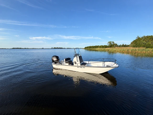 Boot met trailer, boston whaler, montauk 17 mercury 115 pk, 2017 - afbeelding 1 van  4