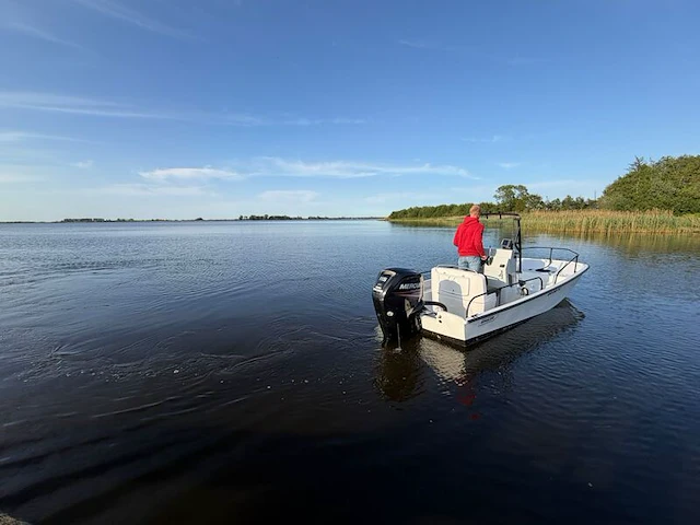 Boot met trailer, boston whaler, montauk 17 mercury 115 pk, 2017 - afbeelding 3 van  4