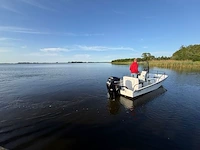 Boot met trailer, boston whaler, montauk 17 mercury 115 pk, 2017 - afbeelding 3 van  4