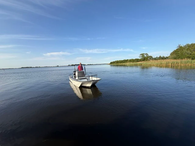 Boot met trailer, boston whaler, montauk 17 mercury 115 pk, 2017 - afbeelding 4 van  4