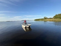 Boot met trailer, boston whaler, montauk 17 mercury 115 pk, 2017 - afbeelding 4 van  4