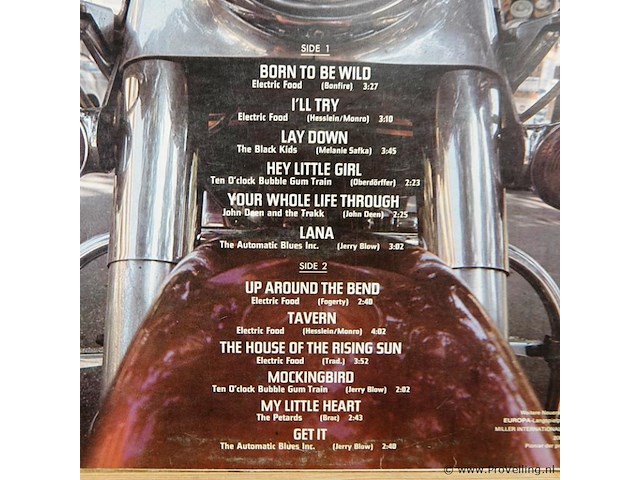 Born on the road: easy rider - afbeelding 3 van  5