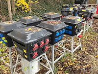 Bos bouwaansluitkast (6x) - afbeelding 1 van  11