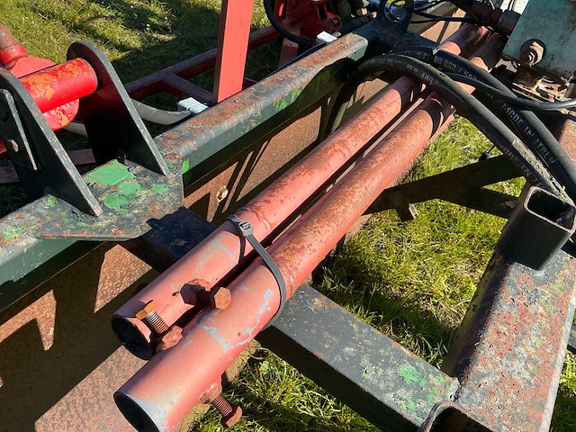 Bos kilverbak - afbeelding 20 van  20