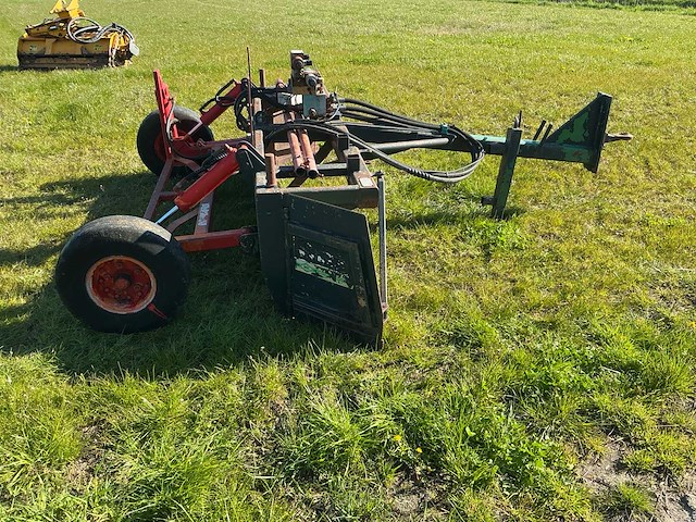Bos kilverbak - afbeelding 4 van  20