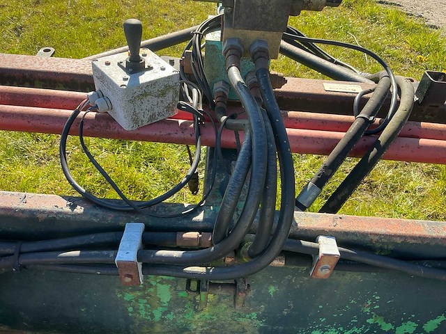 Bos kilverbak - afbeelding 2 van  17