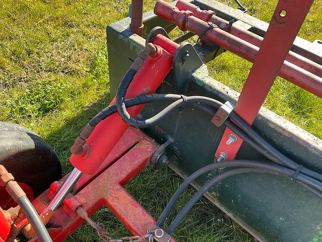 Bos kilverbak - afbeelding 3 van  17