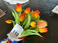 Bos tulpen - afbeelding 2 van  2