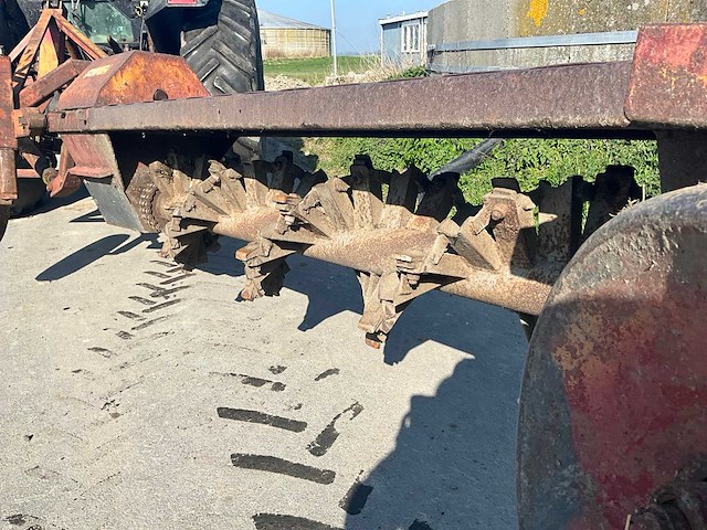 Bos walkantfrees - afbeelding 2 van  17