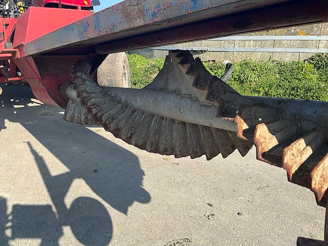 Bos walkantfrees - afbeelding 1 van  1