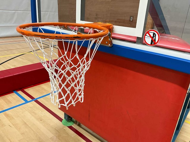 Bosan nijha- lochem basketbal (2x) - afbeelding 23 van  25