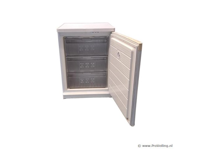 Bosch diepvries gsd8005/01 – ruim, betrouwbaar & energiezuinig - afbeelding 1 van  1