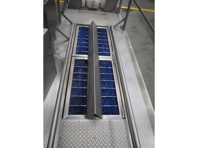 Bosgraaf - afbeelding 2 van  16