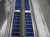 Bosgraaf - afbeelding 2 van  16