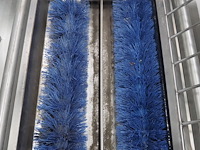 Bosgraaf - afbeelding 3 van  16