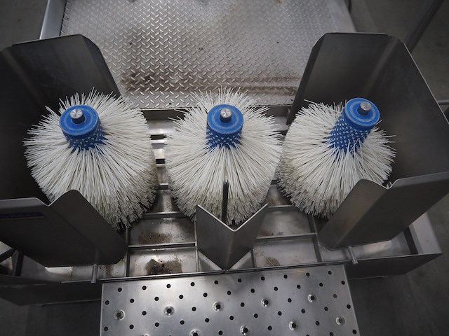 Bosgraaf - afbeelding 13 van  16