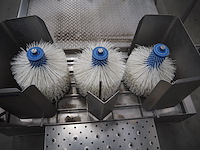 Bosgraaf - afbeelding 13 van  16